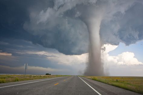 Tornadoes: Spinning Thunderstorms | AMNH Weather Fronts, Tornado Alley, Bad Storms, Weather Storm, Tornado Warning, National Geographic Kids, Severe Storms, National Weather Service, Weather Station