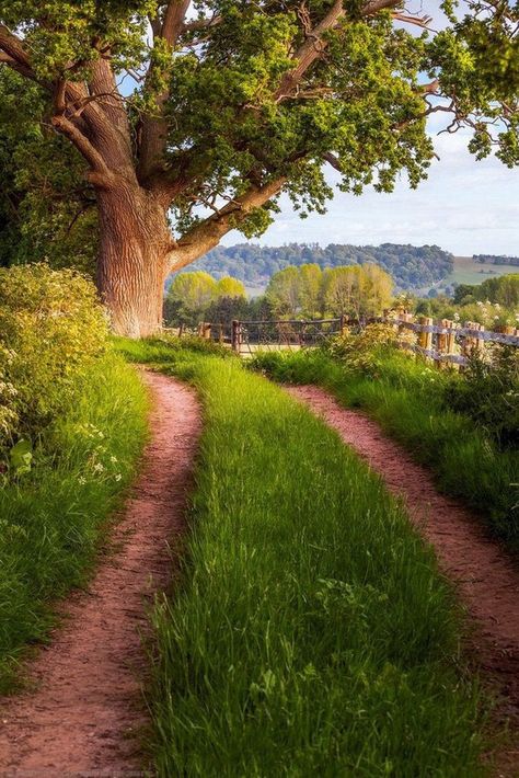 Yellow Artwork, Country Lane, Hereford, Foto Art, Luxor, Country Life, Nature Pictures, British Columbia, Dark Fantasy