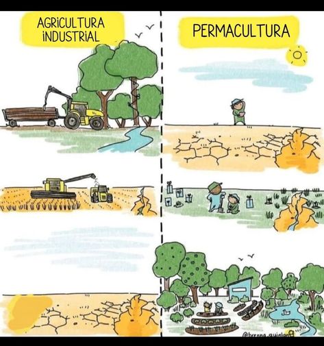 ¿Qué es la permacultura? ➡ Intentional Community, Floating Flowers, Urban Setting, In Case Of Emergency, Power Plant, 14th Century, Off The Grid, Permaculture, Ecology