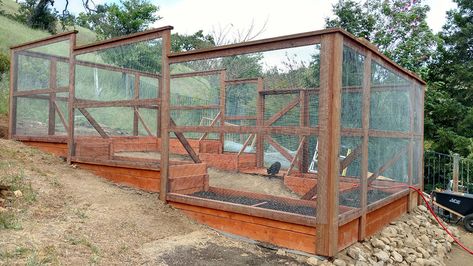 Enclosed Garden On Sloped Land - Country Life Projects Enclosed Garden Structures, Deer Proof Garden, Terraced Vegetable Garden, Garden Enclosure, Terraced Garden, Enclosed Garden, Deer Proof, Diy Garden Fence, Sloped Yard