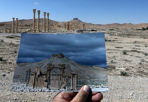 Syria Before And After, Palmyra Syria, Corinthian Column, Empire Romain, Before And After Pictures, Baghdad, Ancient Cities, Syria, Heritage Site