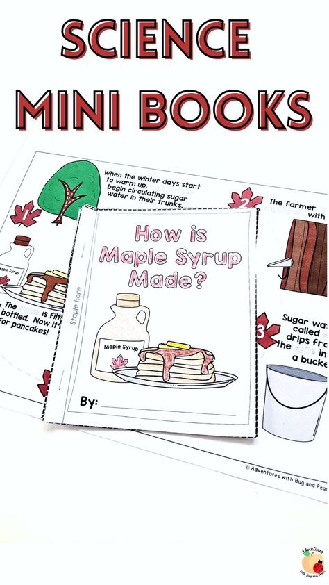 Where does maple syrup come from? This low-prep resource is perfect for the month of February and works well in multi-age and ability settings. Use these mini books and posters to teach young learners about this breakfast treat. Learn how sugar farmers tap maple trees to collect sap and turn it into yummy syrup. These books are suitable for pre-readers as well as early readers. Pair this earth science activity with stories and dramatic play. Maple Sugaring Activities, Maple Syrup Tree, Books For Winter, Maple Syrup Taps, Maple Tapping, Tapping Maple Trees, Science Center Preschool, Earth Science Activities, February Activity