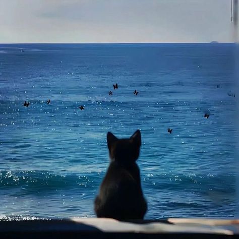 Cat Aesthetic, Blue Cats, Funny Cute Cats, Playlist Covers, Silly Cats, Pretty Cats, Scenery Wallpaper, Baby Cats, Blue Aesthetic