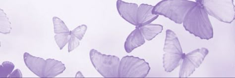 Violet Header Aesthetic, Lilac Discord Banner, Banners For Discord Purple, Violet Aesthetic Header, Purple Twt Header, Lavender Header, Lilac Header, Light Purple Header, Violet Header