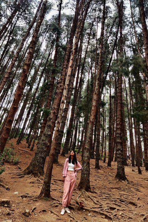 Ooty Travel | Women poses | Travel pose | In the woods | Travel Outfit | Prutha Shah #art #travel #stylehacks #diy #travelpose #womenoutfit #casualoutfit #travelwear #pinetrees #photography Trip Photo Poses, Araku Valley Photoshoot, Alleppey Photography Poses, Kodaikanal Outfit Ideas, Ooty Photography Poses, Travel Pictures Poses Mountains, Photo Pose In Forest, Photography Poses In Ooty, Hills Station Photography Poses