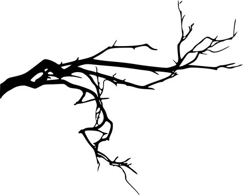 Tree Branch Tattoo, Branch Drawing, Spooky Tree, Branch Tattoo, Spooky Trees, Moon Shadow, Silhouette Images, Halloween Trees, Tree Silhouette