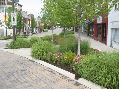 Gardens of native plants and trees collect runoff from sidewalks, storing and filtering water through large volumes of uncompacted soils in structural cells below ground - Uptown Normal Circle and Streetscape | Landscape Performance Series Filtering Water, Native Plant Landscape, Streetscape Design, Architecture Foundation, Public Space Design, Areas Verdes, Green Street, Green Architecture, Water Management