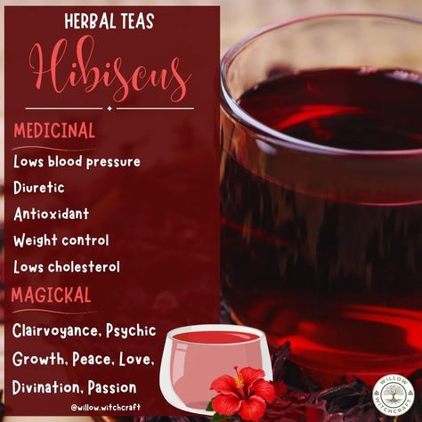 Willow Witchcraft (@willow.witchcraft) • Instagram photos and videos Hibiscus Witchcraft, Hibiscus Uses, Witch Tea, Magical Tea, Tea Magic, Tea Drink Recipes, Witch Spirituality, Health Tea, Low Blood Pressure