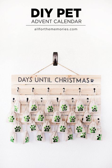 DIY dog advent calendar! Holiday shaped treats for each day leading up to Christmas How To Make A Dog Advent Calendar, Doggie Advent Calendar, Dog Christmas Advent Calendar, Diy Pet Advent Calendar, Dog Advent Calendar Diy, Diy Dog Advent Calendar, Pet Advent Calendar, Dog Advent Calendar, Shoe Organization Diy