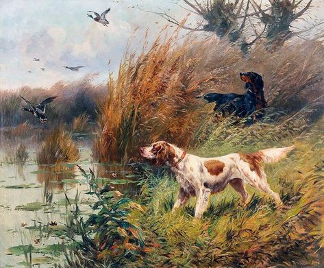 Ducks Painting, Tiger Hunting, Hunting Birds, Dogs Hunting, Hunting Animals, Lion Hunting, Hunting Painting, Hunting Dogs Breeds, Rabbit Hunting