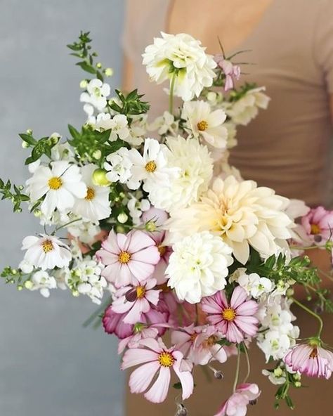 A fall garden style wedding bouquet with simple three matetrials; white & cream Dahlias, whiet & pink Cosmos and white Angelorias. Pink Cosmos Bouquet, Cosmos Bouquet, Garden Style Wedding, Reception Florals, Dahlia Pink, Pink Cosmos, White Wedding Bouquets, Fall Garden, Seasonal Flowers