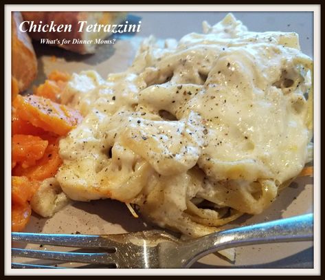 Chicken Tettrazini, Can Soup Recipe, Chicken Tetrazzini Recipes, Canned Soup, Chicken Tetrazzini, What's For Dinner, Cream Of Chicken Soup, Poultry Recipes, The Cream