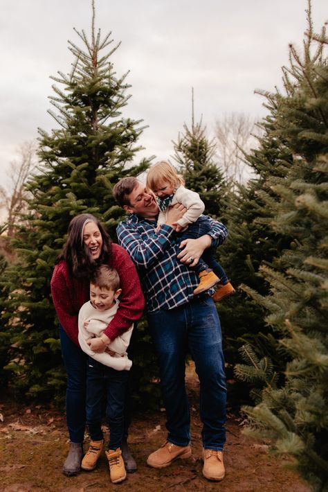 Family playing in a christmas tree farm during a family photoshoot Christmas Mini Session Poses, Christmas Tree Farm Photo Shoot Family Mini Sessions, Family Tree Farm Christmas Pictures, Christmas Tree Mini Session, Holiday Mini Session Ideas Outdoor, Family Tree Farm Photos, Tree Farm Photoshoot Family, Family Christmas Tree Farm Pictures, Family Christmas Poses