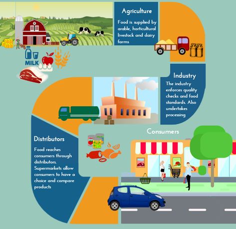 Sustainability and the global food supply chain - Explore How Farmers Produce Food Sustainably - EIT Food Food Supply Chain, Milk Industry, Sustainable Food Systems, Design Tech, Global Food, Supermarket Shelves, Food Production, Community Support, Food Web