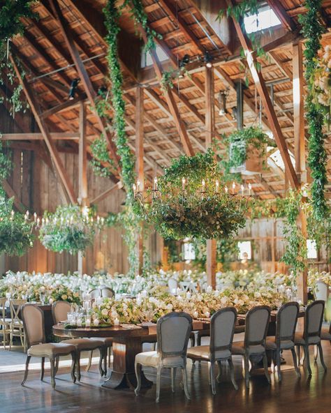 Enchanted Forest Ideas, Ceiling Wedding, Santa Lucia Preserve, Cathy Hummels, White Wedding Centerpieces, Wedding Venues California, Bay Area Wedding Venues, Forest Ideas, Martha Weddings