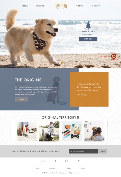 Website for dog accessories with cute colours and layout Learn Ux Design, Luxury Website, Dog Minding, Pet Hotel, Pet Stores, Hotel Website, Dog Adventure, Simple Website, Website Design Layout