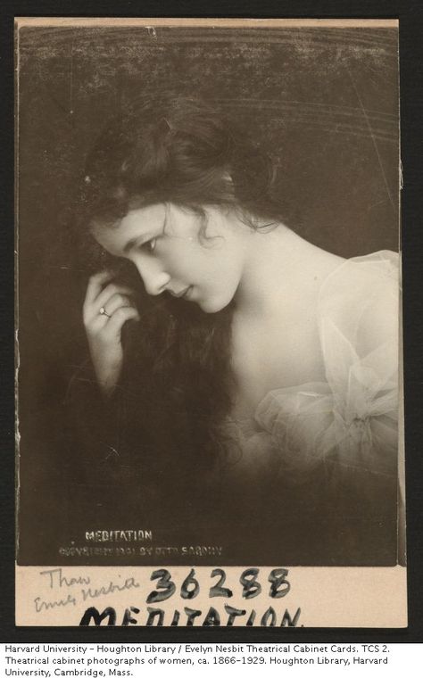 Evelyn Nesbit theatrical cabinet card by Otto Sarony, 1901. Evelyn Nesbit, Gibson Girl, Vintage Portraits, Silent Film, Vintage Pictures, Vintage Girls, Vintage Photographs, Vintage Beauty, Vintage Photography