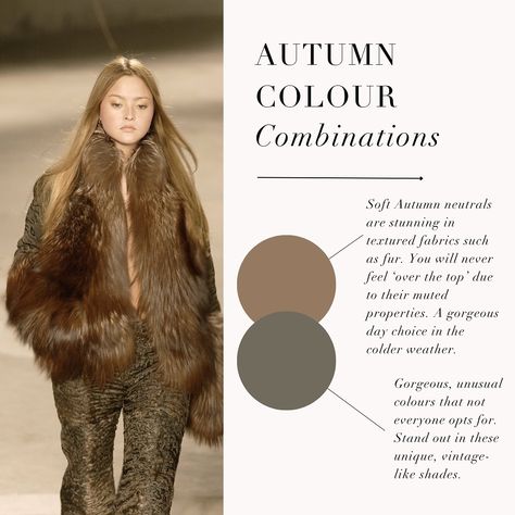 Autumn colour combinations - Soft autumn neutrals are stunning in fabrics such as fur. You wont feel over the top due to its muted properties. You can opt for unusual colour from your palette that not everyone will choose to stand out. Soft Autumn Style, Autumn Colour Combinations, Autumn Style Inspiration, Autumn Neutrals, Soft Autumn Makeup, Soft Autumn Palette, Deep Autumn Color Palette, Soft Autumn Color Palette, Autumn Palette