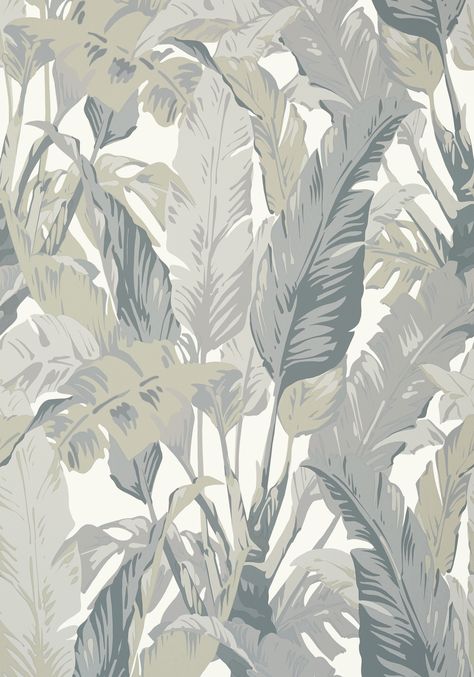 TRAVELERS PALM, Grey, T10129, Collection Tropics from Thibaut Palm Print Wallpaper, Travelers Palm, Construction Wallpaper, Travellers Palm, Thibaut Wallpaper, Palm Wallpaper, Tropical Wallpaper, Jojo Designs, Wallpaper Pattern