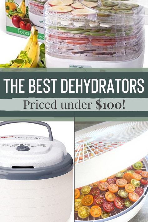 the best dehydrators priced under $100 Best Food Dehydrator, Food Dehydrator, Dehydrated Food, Nyc Food, Dehydrator Recipes, Body Skin Care Routine, Best Food, Body Skin Care, Best Foods