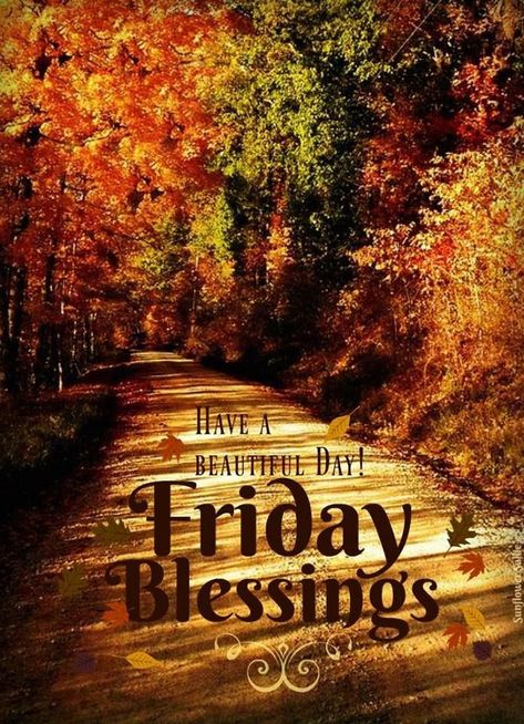 Friday Morning Greetings, Affirmation Aesthetic, Happy Friday Pictures, Friday Inspirational Quotes, Blessed Weekend, Friday Morning Quotes, Friday Wishes, Happy Day Quotes, Good Morning Happy Friday