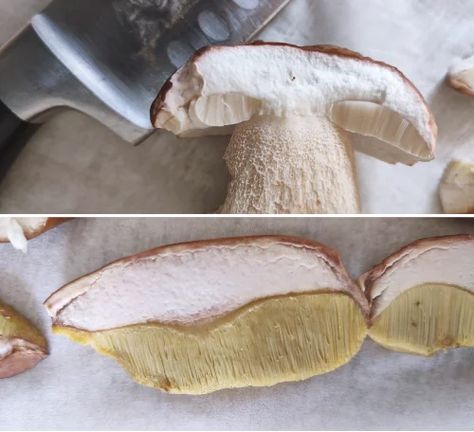 Porcini mushrooms are a delicacy that can be enjoyed fresh or dried, but did you know that you can also freeze them raw? Freezing raw porcini mushrooms is a great way to preserve their flavor and texture for up to a year. You can use them in soups, stews, risottos, pastas, and more.  <p>The post Easy 6 Steps to Freezing Raw Porcini Mushrooms first appeared on <a rel="nofollow" href="https://tur... Wild Mushroom Recipes, Dried Porcini Mushrooms, Foraged Food, Porcini Mushrooms, Soups Stews, Recipe From Scratch, Wild Mushrooms, Cooking Art, Mushroom Recipes