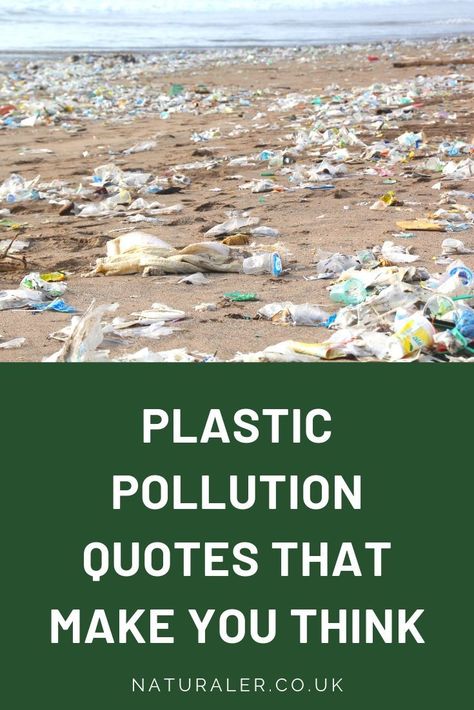 Plastic Pollution Quotes That Make You Think - Thought-provoking quotes on the plastic pollution crisis from experts such as David Attenborough. #naturaler #quotes #plasticpollution Quotes About Pollution, Beat Plastic Pollution Slogan, Quotes On Plastic Pollution, Ocean Pollution Quotes, Quotes On Pollution, Plastic Pollution Quotes, Plastic Quotes, Water Pollution Quotes, Pollution Quotes