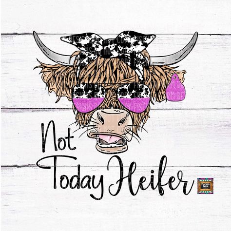 Long Haired Cow, Not Today Heifer, Heifer Cow, Cow Png, Farm Design, Farm Barn, Ropa Diy, Cow Pattern, Not Today