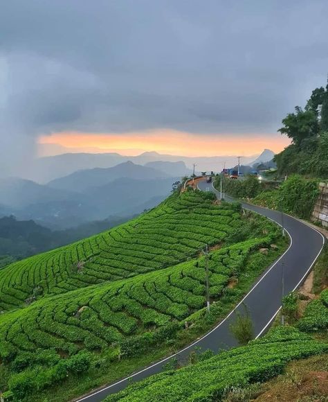 Green Place Aesthetic, Bhutan Travel, Kerala Travel, Valley Of Flowers, Village Photos, Perspective Photography, Love Background Images, Munnar, Adventure Aesthetic