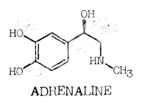 Chemistry Tattoo, Darkside Tattoo, Molecule Art, Ormanlık Alan, Science Tattoos, Molecule Tattoo, Chemistry Art, Initial Tattoo, Arrow Tattoo