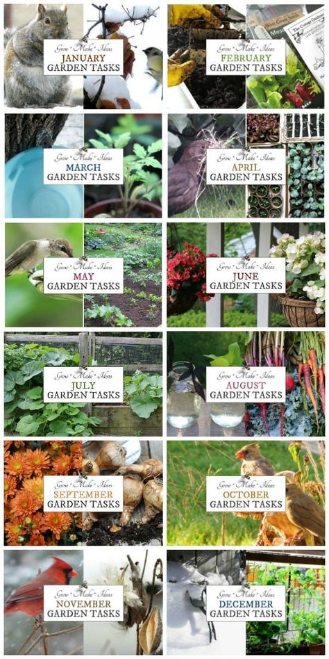 Gardening Month By Month, Starter Garden Vegetables, Monthly Gardening Schedule, Garden Schedule Calendar, Garden Chores By Month, Monthly Gardening Checklist, February Garden Tasks, Garden Tasks By Month, Seattle Gardening Ideas