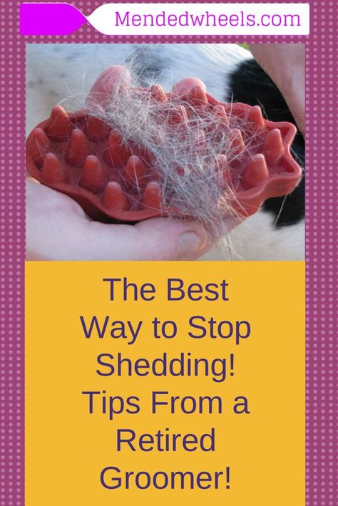 I love this dog brush! It works great for my Chessie and Boxer Bulldog. Dog Shedding, Irish Wolfhound, Dog Info, Pet Hacks, Dog Health, Pet Health, Dog Care, Pet Grooming, Dog Grooming