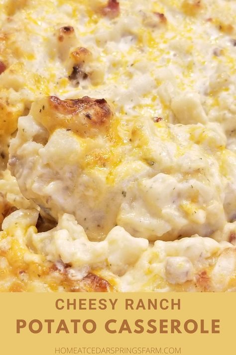 Cheesy Ranch Potato Casserole - Home at Cedar Springs Farm Cream Of Mushroom Potatoes, Ranch Potato Casserole, Cream Mushroom Soup, Ranch Potatoes Baked, Ranch Potato Recipes, Cheese Potato Casserole, Cheesy Ranch Potatoes, Hashbrown Casserole Recipe, Simply Potatoes