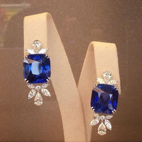 Sapphire Earrings Drop, Tanzanite Diamond Earrings, Sapphire Diamond Earrings, Sapphire Drop Earrings, Sapphire Earring, Earrings Diamonds, Classy Earrings, Sapphire And Diamond Earrings, Earrings Ideas