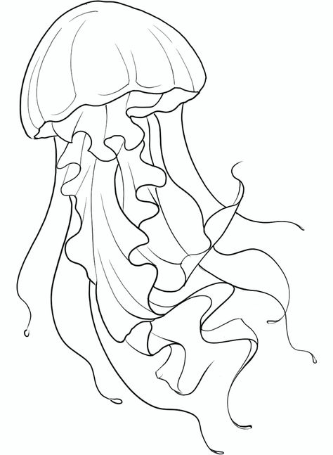 Jellyfish Outline Drawing, Jelly Fish Drawing Ideas, Drawing Ideas Jellyfish, Jellyfish Drawing Easy, Jellyfish Stencil, Jellyfish Outline, Black And White Jellyfish, Jellyfish Sketch, Tattoo Sea