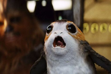 porg the last jedi star wars yelling screaming Han Leia, Steven Knight, Rian Johnson, American Graffiti, Star Wars Celebration, The Last Jedi, Star Wars Film, The Empire Strikes Back, Star Wars Movie