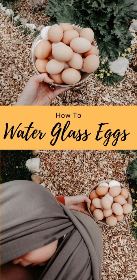 Water Glassing Eggs, Glassing Eggs, Preserve Eggs, Preserving Eggs, Glass Eggs, Homestead Blog, Canning Food Preservation, Canned Food Storage, Chicken Life