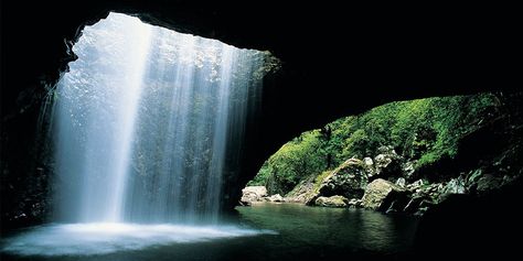 Springbrook National Park Australia, 4x4 Camping, Rainbow Falls, Cascade Waterfall, Small Waterfall, Killarney, Natural Bridge, Surfers Paradise, Travel Australia