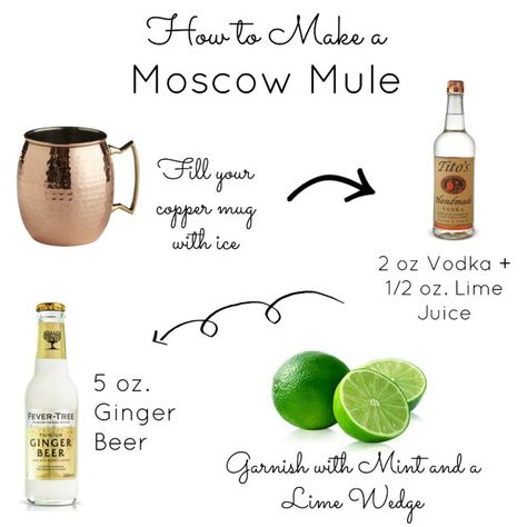 Step by Step Tutorial on How to make the perfect classic moscow mule! An easy last minute cocktail for your dinner guests! Moscow Mule Recipe Classic, Moscow Mule Drink Recipes, Moscow Mule Drink, Bartender Recipes, Mule Drink, Bartender Drinks Recipes, Alcohol Beverages, Moscow Mule Recipe, 22 Birthday