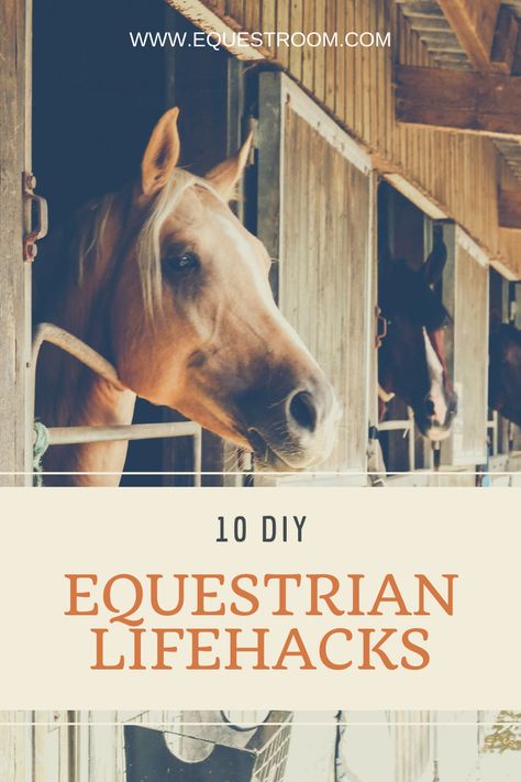 Horse Life Hacks, Barn Hacks Horse, Horse Barn Hacks, Equestrian Hacks, Taking Care Of Horses, Horse Basics, Diy Equestrian, Equestrian Diy, Stable Hacks