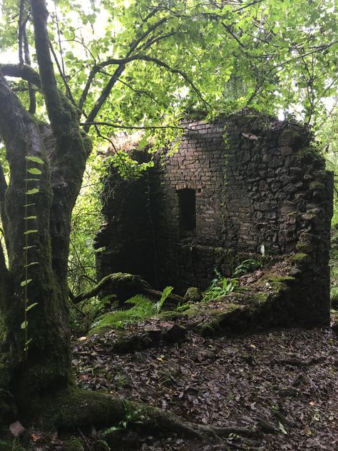 Tower In The Woods, Ruin Aesthetic, Ruined Village, Garden Ruins, Forest Tree House, Overgrown Forest, Overgrown Ruins, Forest Ruins, Abandoned Island