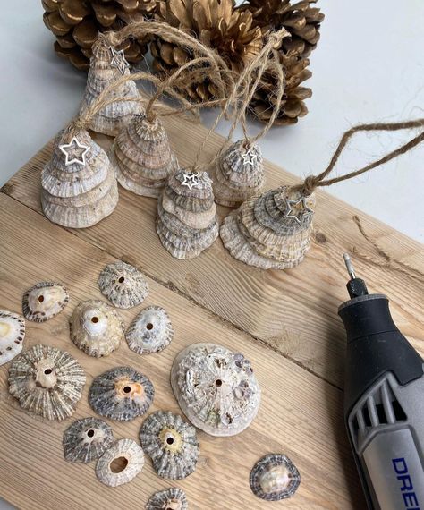 Limpet Shell Art, Limpet Shell Crafts, Sea Mandala, Seashell Tree, Seashell Christmas Tree, Shell Christmas Tree, Beach Christmas Tree, Driftwood Tree, Driftwood Christmas