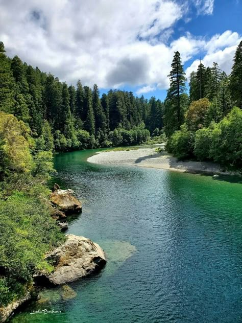 The Smith River from the Hiouchi Bridge 6-25-29, near Crescent City, CA. By Linda Buchner; vF Smith River California, Crescent City California, River Aesthetic, Vilamoura Portugal, River Village, Crescent City Ca, Oregon Road Trip, Mountain Pictures, Water Source