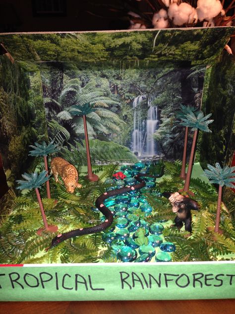 Rainforest biome in a box Rain Forest Biome Project, Tropical Rain Forest Shoe Box Project, Tropical Rainforest Shoebox Projects, Biome Box Project, Tropical Rainforest Diorama Ideas, Biome In A Box Project Rainforest, Rainforest Diaroma Ideas, Biome Project Ideas Rainforest, Biome Boxes School Projects