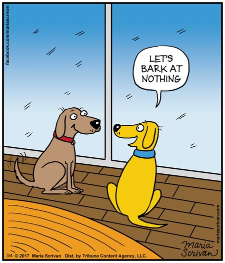 Half Full by Maria Scrivan for Mar 4, 2017 | Read Comic Strips at GoComics.com Dog Cartoons, Dog Comics, Dog Jokes, Dog Humor, Memes Humor, Dog Sitting, Pet Stuff, Dog Memes, Cartoon Dog