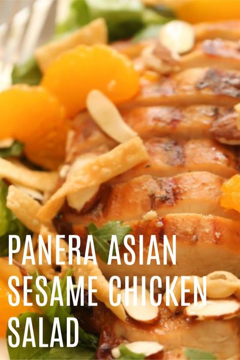 Change things up for lunch with our delicious Copycat Panera Asian Sesame Chicken Salad. It is so simple to make and tastes absolutely amazing. This is one of the best salad recipes ever. Perfect for a healthy lunch, snack, dinner, or side. Asian Sesame Chicken Salad, Sesame Chicken Salad Recipe, Asian Sesame Chicken, Amazing Chicken Breast Recipes, Sesame Chicken Salad, Panera Salad, Panera Recipes, Panera Copycat, Chopped Salads