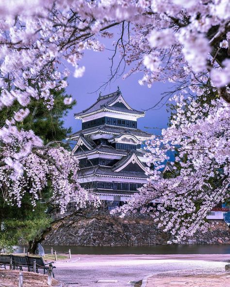 quiet-nymph: “ Photography by daisukephotography ” Kumamoto Castle, Japan Guide, Japanese Castle, Napoleon Hill, Photography Prints Art, Future Travel, Countries Of The World, Travel Insurance, Japan Travel