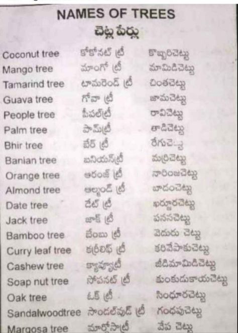 Trees Name In English, Kids Learning Charts, English Word Meaning, Daily Use Words, Names Meaning, Telugu Language, English Names, Blossom Wallpaper, Modern Cupboard