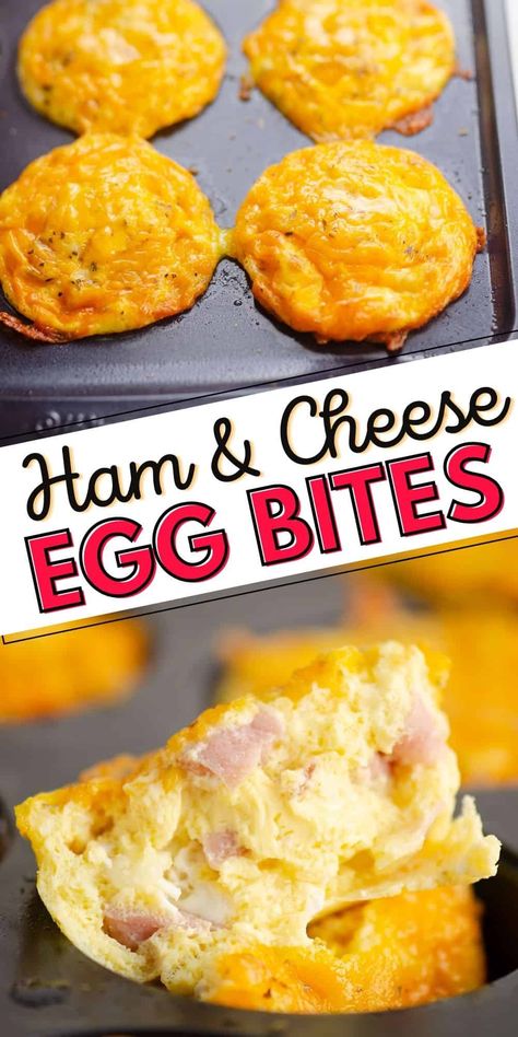 Healthy Low Carb Meal Prep, Cheese Egg Bites, Cottage Cheese Muffins, Cottage Cheese Eggs, Keto Appetizers, Egg Bites Recipe, Loose Belly, Fluffy Eggs, Low Carb Meal Prep