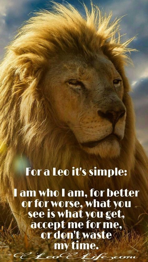 Lioness Quotes, Leo Symbol, All About Leo, Leo Personality, Lion Roar, Leo Astrology, Leo Zodiac Quotes, Leo Virgo Cusp, Leo Woman